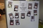 IMG 9118