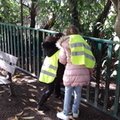 Course à la ramasse Robespierre 012