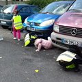 Course à la ramasse Robespierre 014