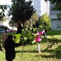 Course à la ramasse Robespierre 015