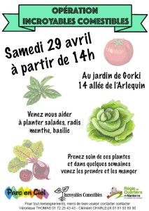 Lire la suite à propos de l’article Opération Incroyables Comestibles – 29 avril 2017